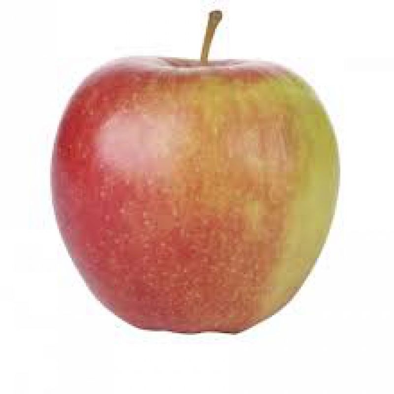 MAR Pomme Jonagold 1,5 kg