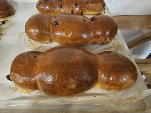 KAT Cougnou/coquille aux pépites de chocolat au beurre de ferme