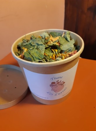 [NPS020] NPS Tisane Les Lutins  